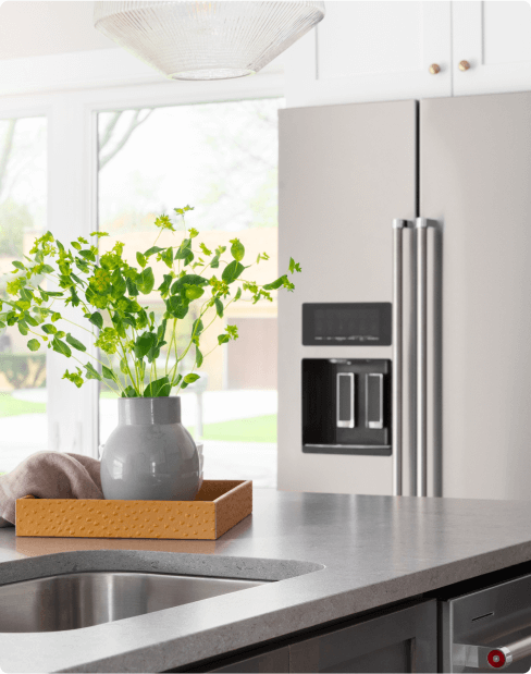 A view of a refrigerator and a plant on a countertop in the kitchen of an energy-efficient home