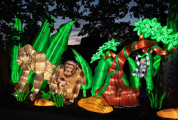 Large scale display at Cleveland Metroparks Zoo's Asian Lantern Festival