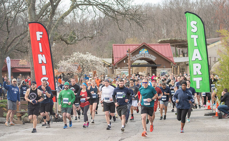 Runners at a Cleveland Metroparks race