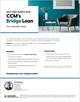 Bridge loan flyer example