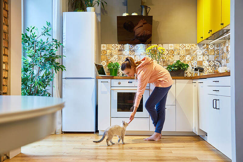 Homeowner petting her cat in her kitchen